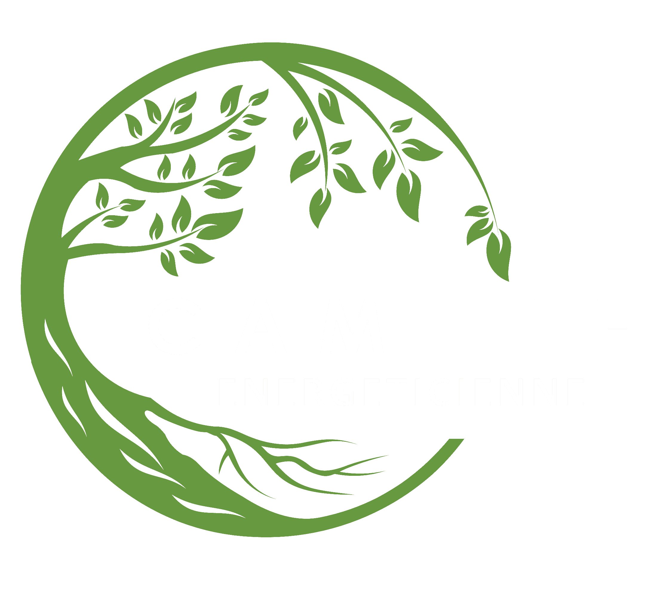 logo de Camille-énergéticienne